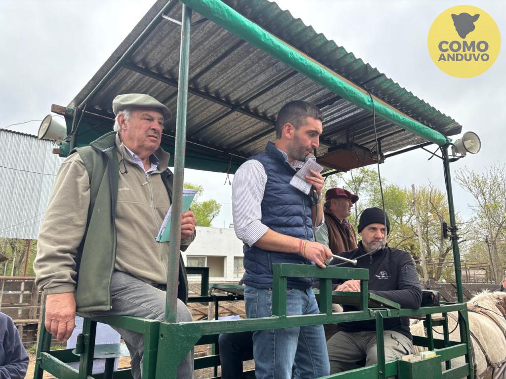 Hourcade, Albelo y Cía